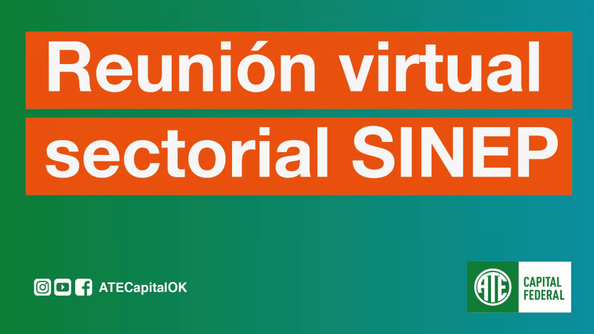 Reunión virtual sectorial SINEP