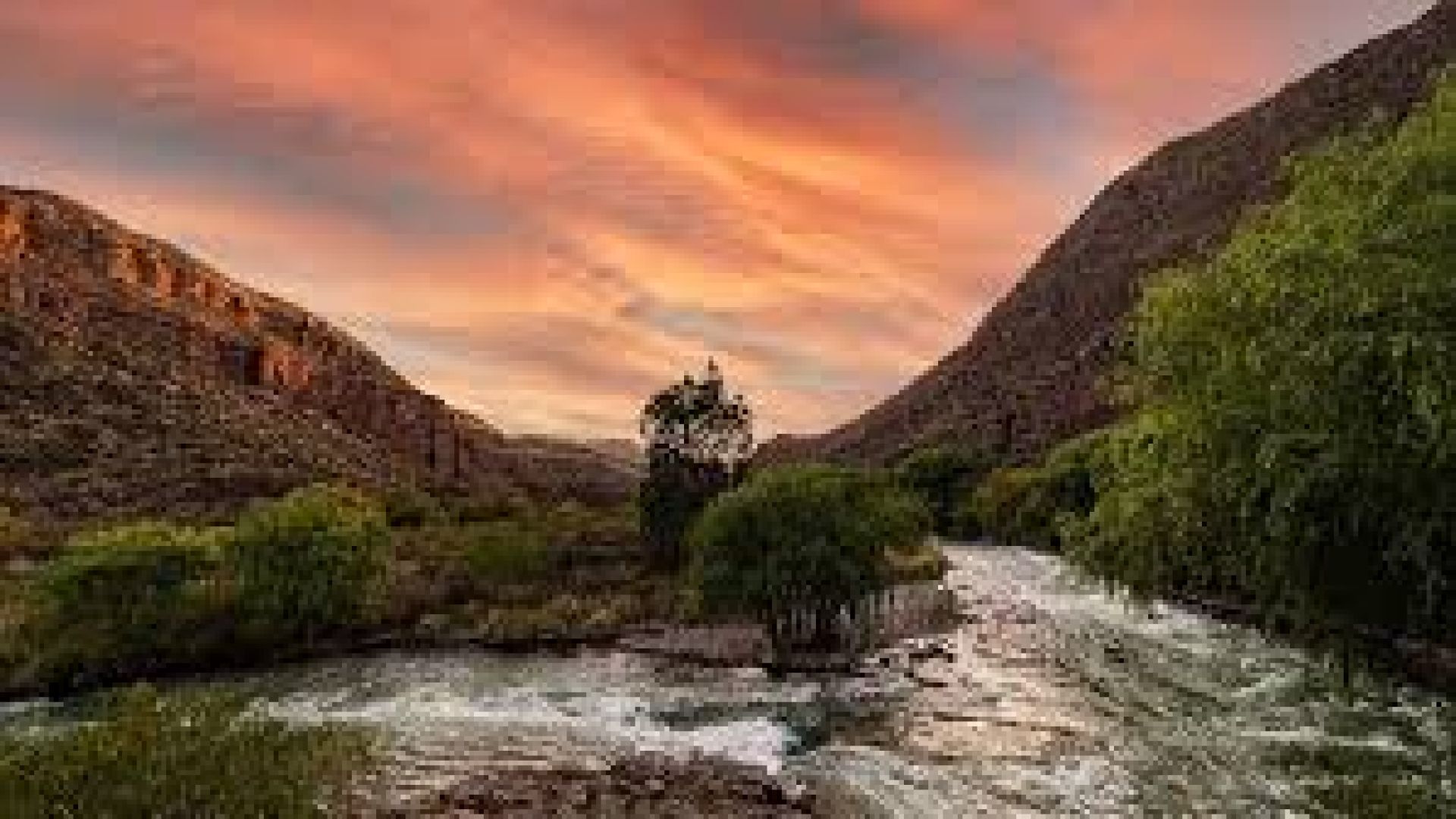 HOTEL CORDON DEL PLATA + ALAS